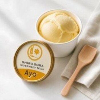 ご褒美なのに、体にいい。Ayo(R)の完全栄養アイス