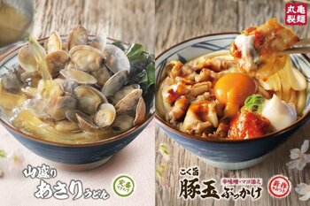 《丸亀製麺で、ココロに寄り添う“春仕込み” 》ガッツリやみつき！元気みなぎる『こく旨 豚玉ぶっかけうどん』あふれるあさりとだしが沁みる！ほっとやすらぐ『山盛りあさりうどん』