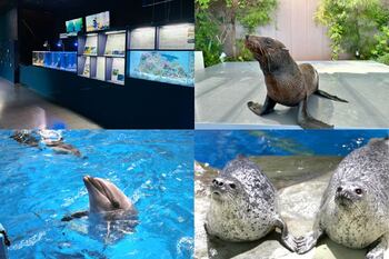 【マクセル アクアパーク品川】都市型水族館で学ぶ、【SDGs１４：海の豊かさを守ろう】見て、聞いて、楽しく学べる解説イベントが盛りだくさんの９日間。『アクアパーク「SDGsウィーク」』