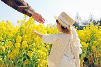 【大分県豊後高田市】長崎鼻の菜の花を味わい尽くす2つのプランを、3月2日（月）より販売開始