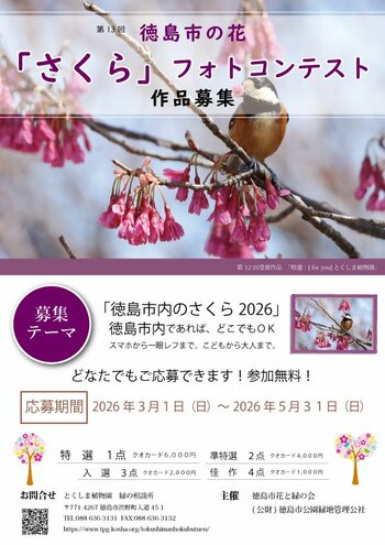 【徳島市】第13回さくらフォトコンテスト作品募集