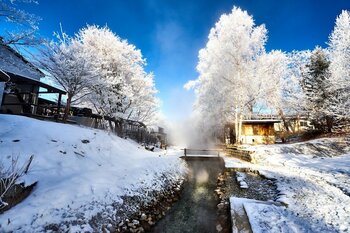 【北海道・弟子屈町】冬の澄んだ景色と温泉！期間限定周遊バスと手荷物配送サービスで、手ぶらでらくらく観光を楽しむ！