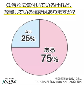 75%が汚れに気付いているけど後回し　大掃除前に要チェック！“見て見ぬふり”しがちな掃除ランキング発表