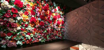 大分・都町に「花×炎×水」の体験型バー誕生 ― 観光客も地元も集う、新しいナイトスポット『RAISE BAR』がオープンしました