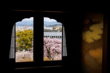【ホテル長楽館】京都・円山公園の桜景色を特等席で望む春限定ステイプランを提供