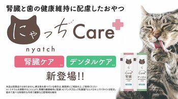 国産無添加おやつ「にゃっち」から、愛猫の健康の悩みに配慮した「にゃっちCare+」新登場！腎臓ケア、デンタルケアの2種が新発売