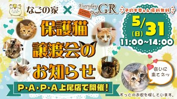 エブリデイゴールドラッシュPAPA上尾店で初開催！