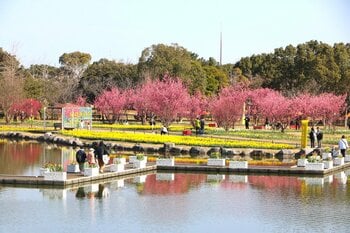 早春ハッピーフェスタ2026開催【国営海の中道海浜公園】