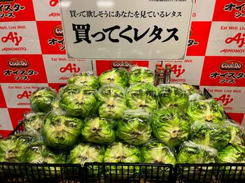 6割以上の人が経験する夏場のレタスのフードロス問題！“藤原竜也さん顔面協力”による1万個のレタス販売と、新レシピで購入と消費を促進『「Cook Do(R)」オイスターソース 藤原竜也の「買ってくレタス」』