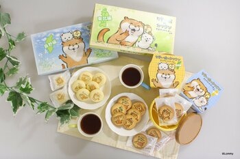 初の“信州弁・東北弁「可愛い嘘のカワウソ」ご当地限定シリーズ誕生！方言入りプリントクッキー＆サンドクッキー長野・東北で2026年3月2日（月）より発売長野・東北限定発売