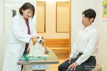 ＜試写室＞『おっパン！』誠（原田泰造）が“あるもの”を街で見つけた瞬間から…結実パートでは涙こぼれまくり！！