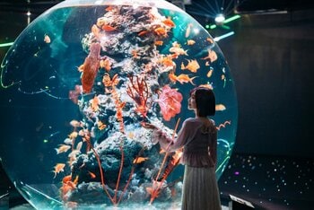 GWは営業時間を延長！多彩な体験イベント開催！【神戸の港の劇場型アクアリウムatoa】