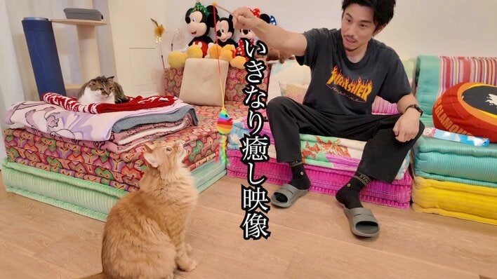奥様さすが」中尾明慶 自宅の広々リビングを雑巾がけ！大きな鏡付いた