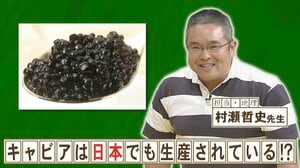 40年以上前から日本でキャビアを生産している県はどこ？『ネプリーグ』で放送の＜豆知識＞
