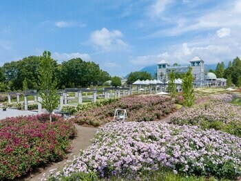 【県内最多5,700株の秋バラ × 初開催！10万輪の花と光のライトアップ】ぐんまフラワーパークプラス「AUTUMN BLOOM FAIR」＆「Night Bloom」10月10日(土)より同時開催！