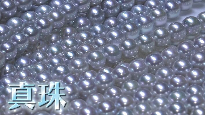 世界中が注目 “高品質”「日本の真珠」最新事情 10年で価格が3倍
