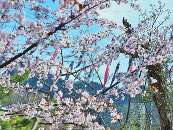 【札幌・定山渓温泉　章月グランドホテル】新プラン。公式サイト限定【Nポイント会員様ご優待】1000p以上ご利用で5％OFF＆ポイント2倍還元でお得に宿泊！