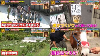 この夏行きたいローカルスポット！人気テーマパークに負けないこだわり