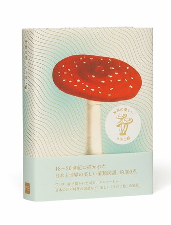 美しく儚い「森の花」。18世紀～20世紀に描かれた世界の菌類図譜を約300点収録『世界の美しいきのこ絵』9/18発売