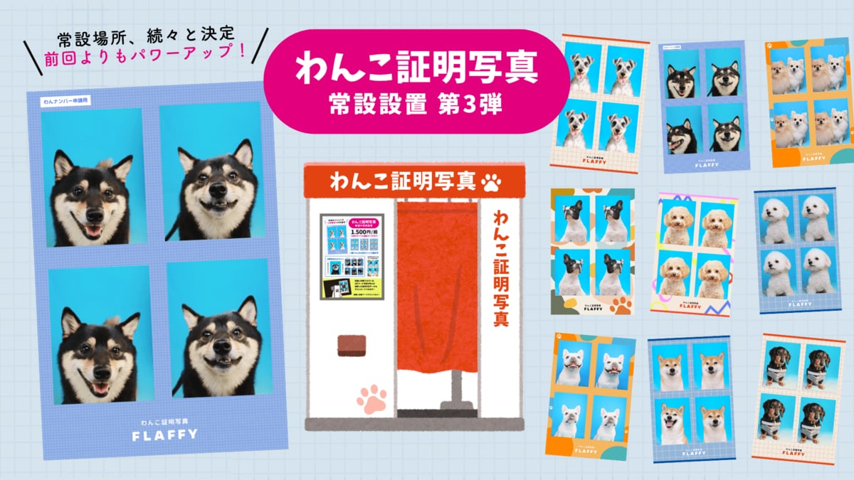 愛犬サンプル写真 愛犬専門プロカメラマンによる愛犬撮影会｜おすすめ情報