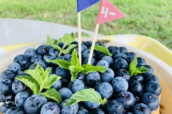 7～8月のおでかけは、大自然の中で多世代で楽しみながら学べるブルーベリー園「さがみこベリーガーデン」へ
