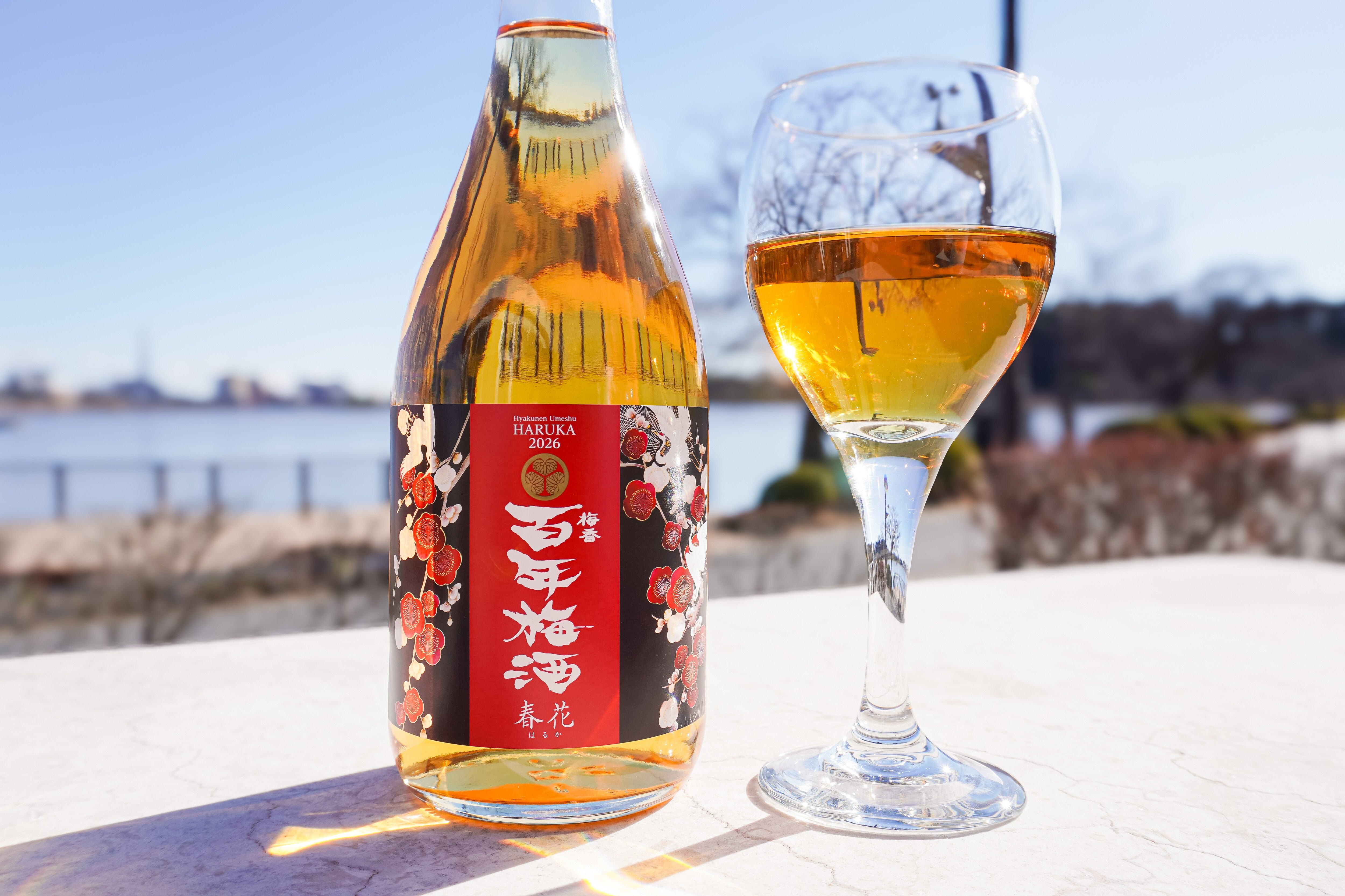 日本一に輝いた百年梅酒を“梅酒ヌーボー”で楽しむ「百年梅酒 春花2026