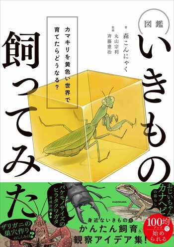 【Amazonランキング1位*獲得！】人気生き物系YouTuber・森こんにゃく初書籍『図鑑いきもの飼ってみた カマキリを黄色い世界で育てたらどうなる？』2026年7月27日（月）発売