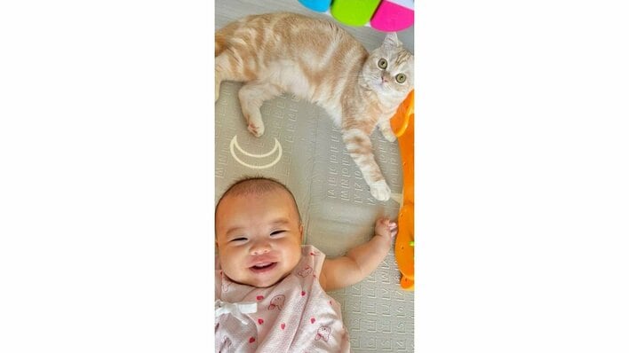 【画像14枚】「一生見てられる」猫の前足を触りたい生後6ヵ月女の子vs“猫パンチ”を繰り出し触らせない猫のかわいすぎる“攻防”の様子を写真で見る
