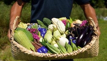 【沖縄／ジ・アッタテラス クラブタワーズ】ホテル自家農園の野菜やハーブを味わう『テラスの収穫祭』を開催 ＜ 3/20（金）、3/21（土） ＞