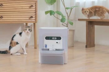 使った水を混ぜない"非循環式"で、いつもきれいな水を。世界で500万人が愛用するペット家電ブランド PETKIT（ペットキット）から、AIカメラで個体判別をする新型給水機が7月1日販売開始。