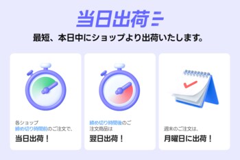 K-ファッション通販アプリamood（アムード）、当日出荷サービス強化及び冬のトレンドアイテムを拡大