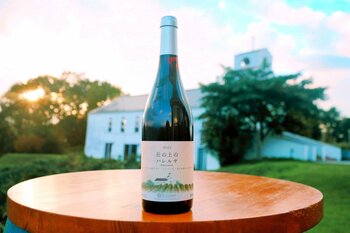 サンクゼール・ワイナリー人気赤ワイン「エナ」が生まれ変わる ― 新名称「丘の上のハレルヤ」新発売！