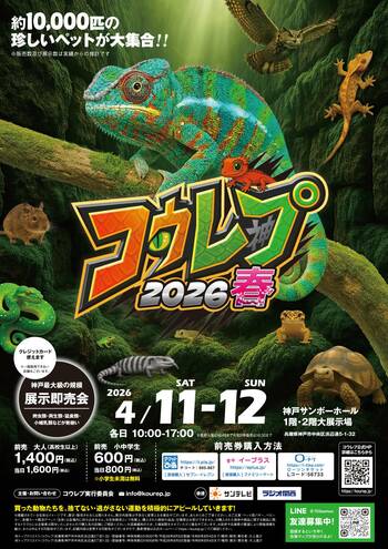 コウレプ2026春 ～神戸最大級の爬虫類イベント～【4月11日（土）・12日（日）神戸サンボーホールにて開催】