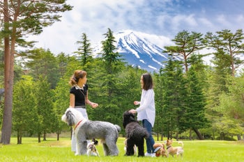 【富士山1合目・標高1,000m】愛犬と一緒にヨガ・BBQ・焚き火カフェ。　フジプレミアムリゾート、夏季限定プログラム開催