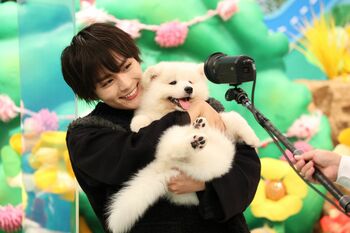なにわ男子・大西流星がサモエドの赤ちゃんを抱っこし「モフモフや～！」と大興奮＆全力スマイル対決も