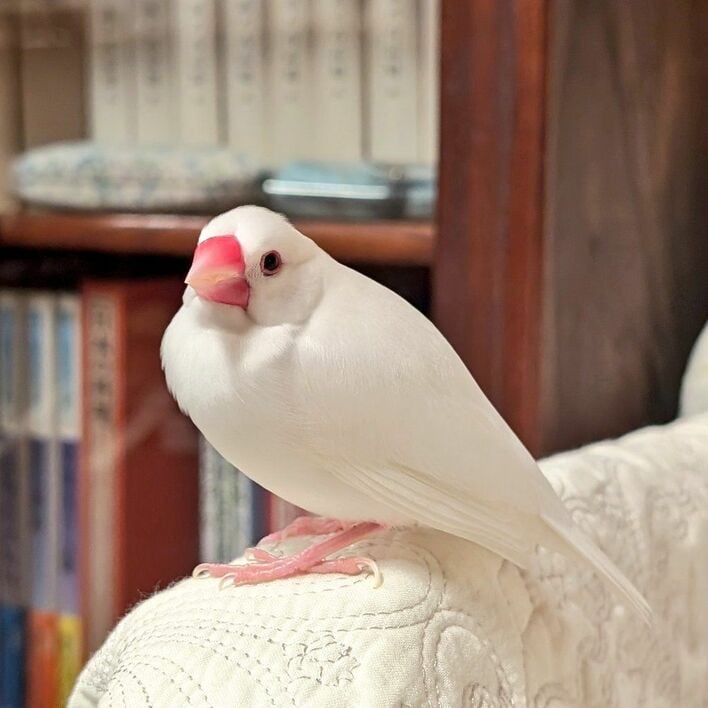 img_0d36ffb45110a8b2c54d7ead5b