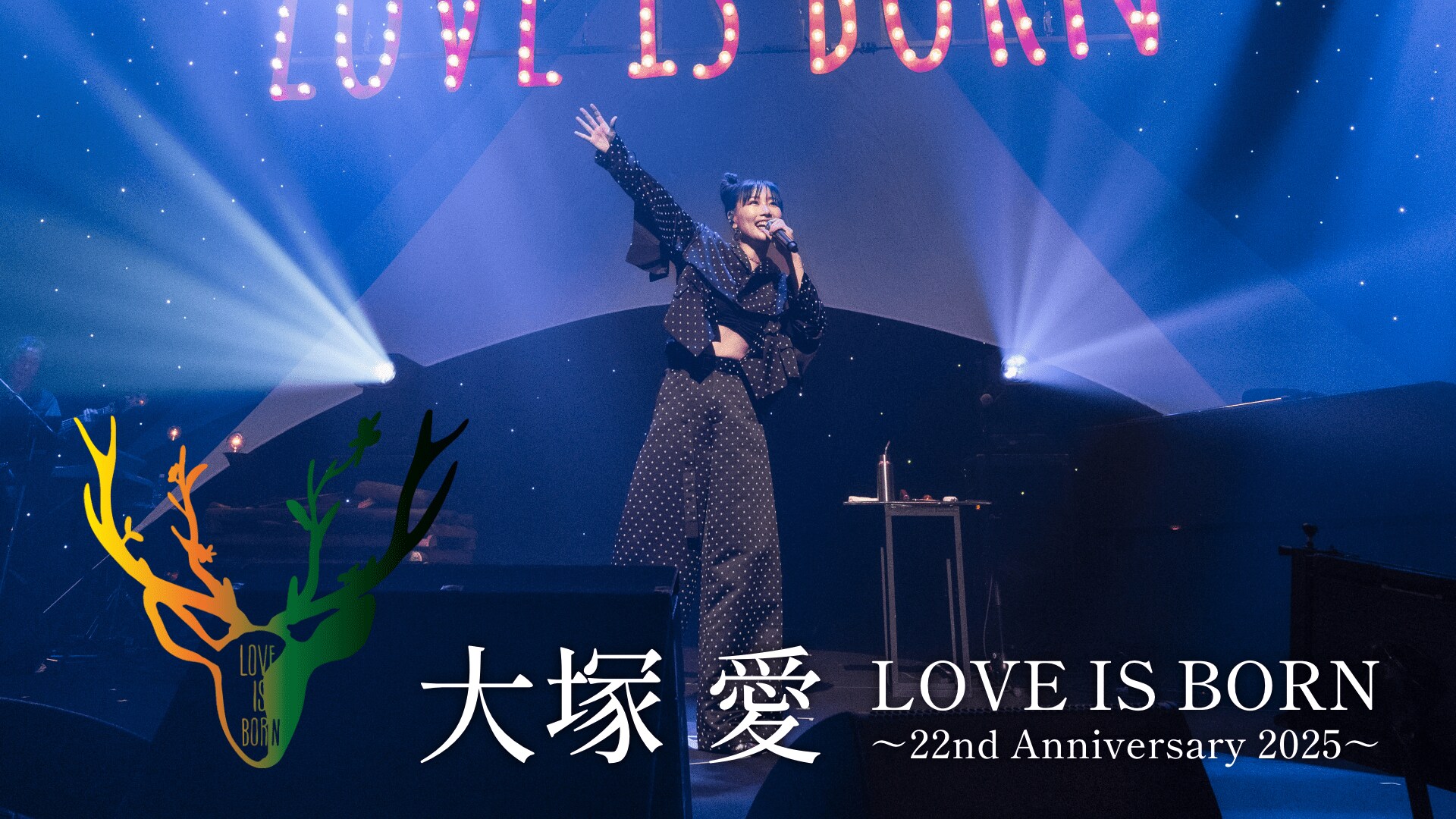 大塚愛　LIVE DVD 15枚セット 大塚愛LIVE DVD 15枚セット
