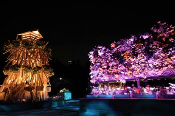 【東京・木場公園】咲き誇る桜と光り輝く立体花壇。高さ3.5m「角材の常夜灯」が誘う早春の花のイルミネーション。地域の園児も花植えに参加、日中も夜も美しい「光と花の17日間」が開始！
