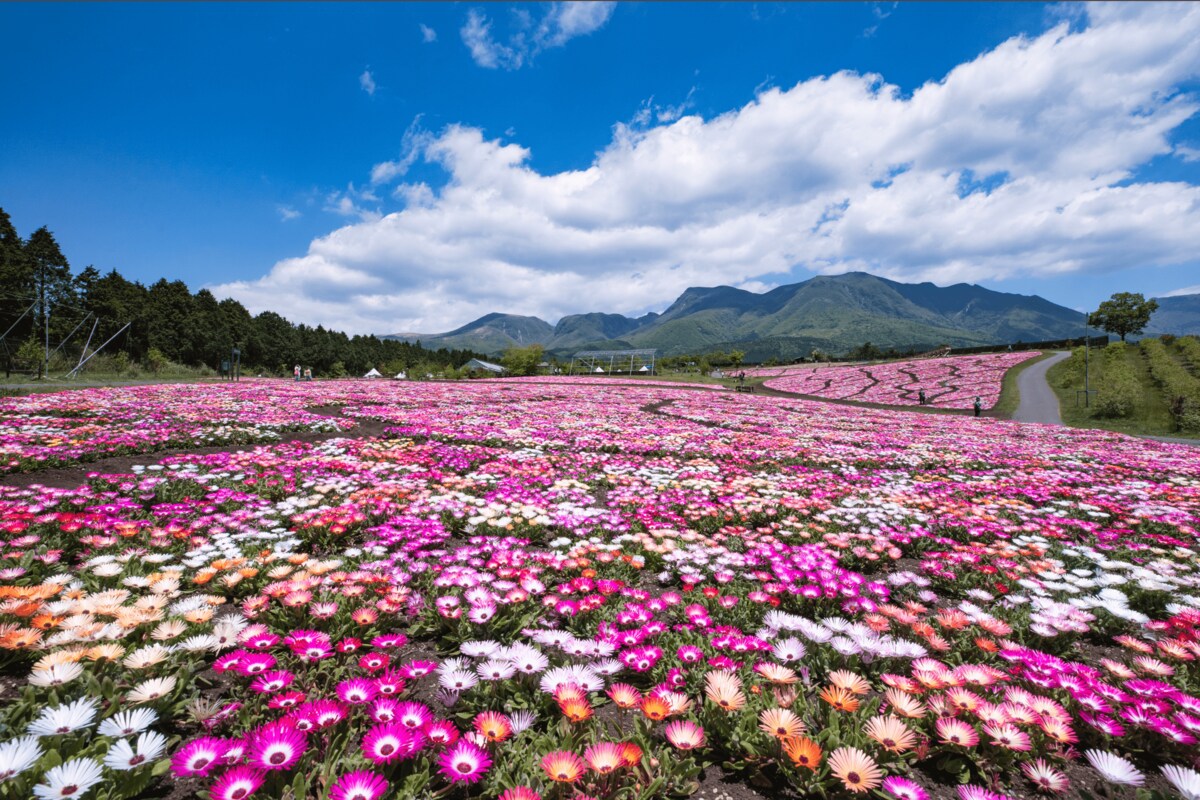 img_0fec6e3c33a4fabe019f1a07fa