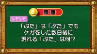 【おめざめ脳トレ】なぞなぞ！「ぶた」は「ぶた」でもケガをした数日後に現れる「ぶた」は？【『クイズ！脳ベルSHOW』より】