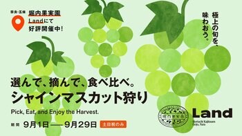 極上の旬を、味わおう。選んで、摘んで、食べ比べ。「シャインマスカット狩り」を堀内果実園で開催