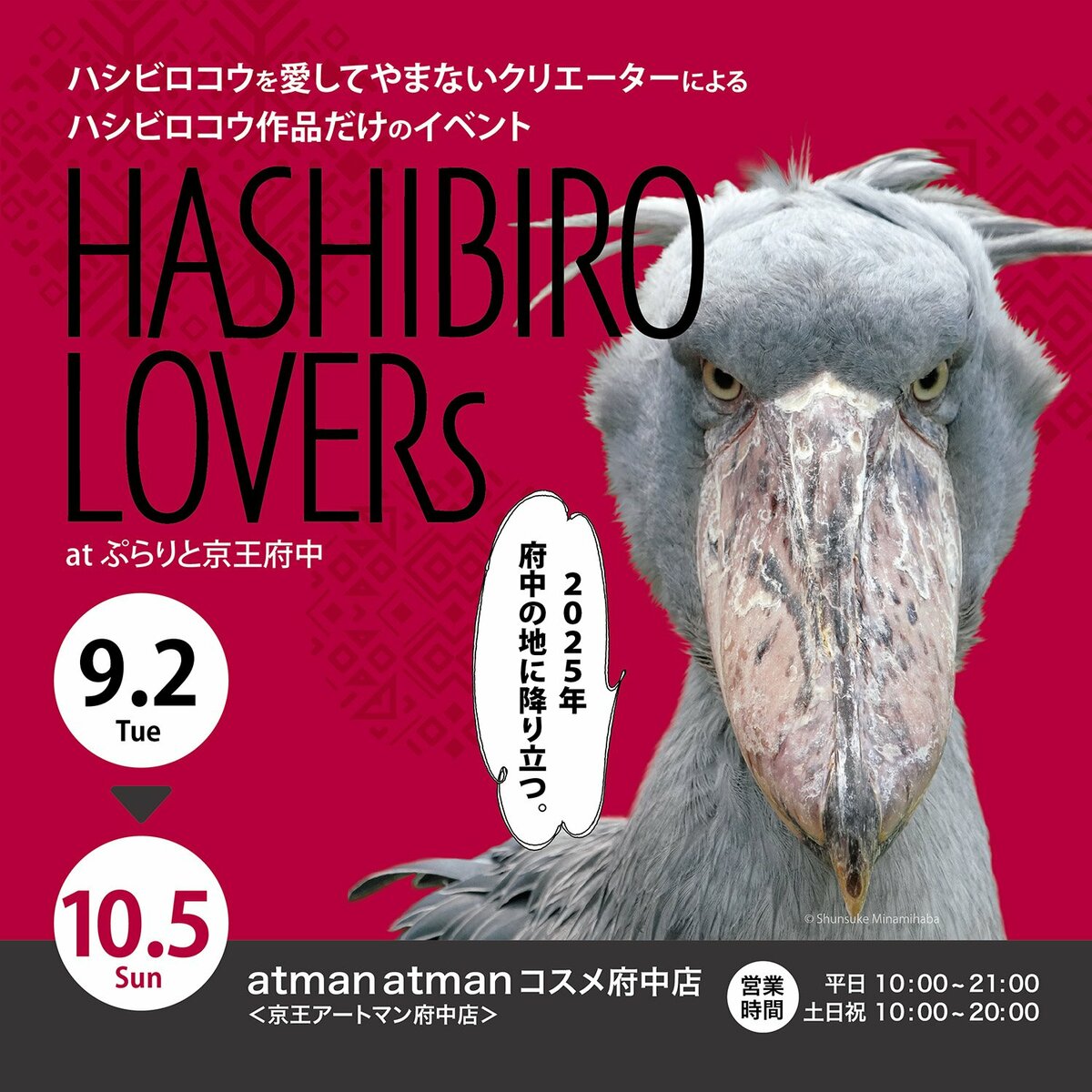 atman atman コスメ府中店にてハシビロコウグッズ販売イベント