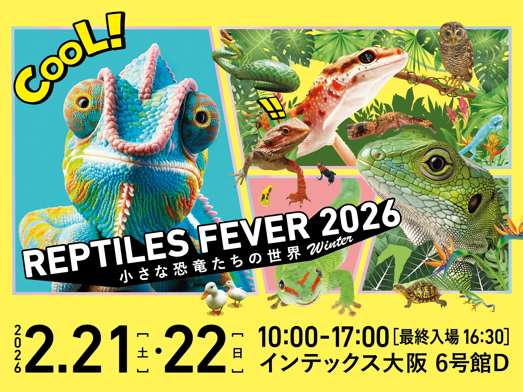 ・裁断済 エキゾチック臨床 Vol.0 爬虫類編 裁断済 エキゾチック臨床 Vol.0 爬虫類編