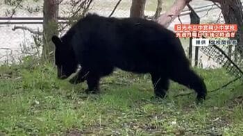 【危険】観光地で“クマ”の出没相次ぐ…連日学校にも…　専門家「過疎化により人間が撤退しクマの生息地が拡大」