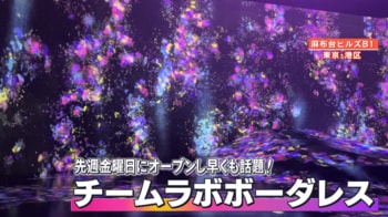 麻布台ヒルズの「チームラボボーダレス」 見るだけじゃない！映える写真のコツを“バズ写真のプロ”たけちが紹介