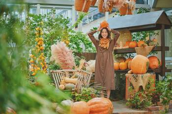 本物のかぼちゃ約300個が彩る 「ハロウィンフェア2026 」開催！子どもから大人まで思わず「可愛い」と心弾む。秋の神戸布引ハーブ園のガーデンの景観に溶け込む ここだけのフォトスポットが登場。