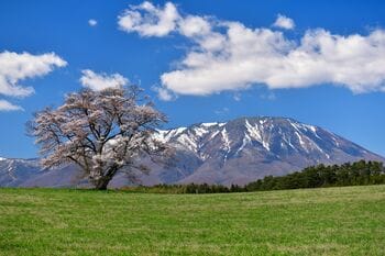 【川崎重工グループ ヘリコプター手配サービス Z-Leg(TM)︎】ヘリコプターで行く、八幡平・安比高原！