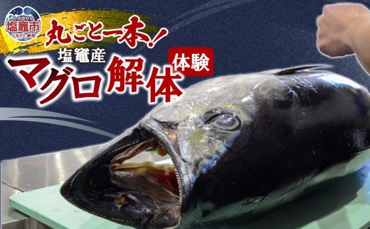 現役高校生が起業！マグロ解体体験でふるさと納税へ初参入