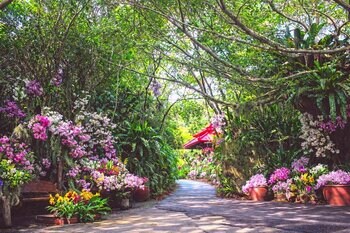 ビオスの丘 うりずんの花祭り 2026～うりずんの花道～