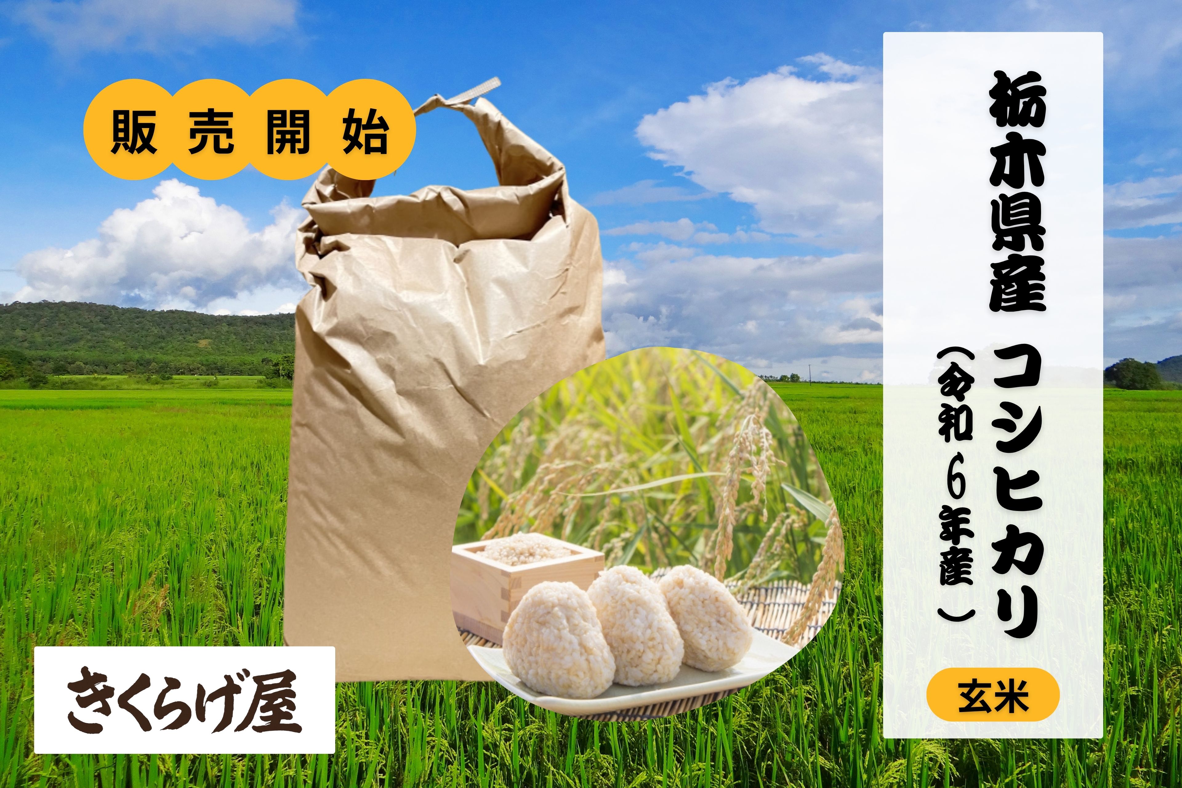 クールコネクト】米10トンを確保! 国産玄米のオンライン販売開始